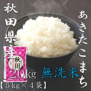 米 お米 令和5年産 無洗米 秋田県 あきたこまち 5kg×4袋 合計 20kg