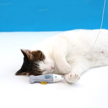 ParisCat 釣魚遊戲貓薄荷逗貓棒-單支(款式隨機出貨) 寵物玩具