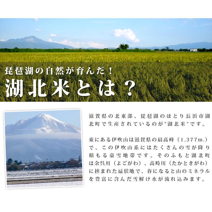 [令和５年度産 新米] コシヒカリ ZERO 農薬不使用米 [白米] ５kg 湖北米 特別栽培米 [送料無料(一部除く)] １等米 安心 安全 滋賀県 湖北町 有機栽培