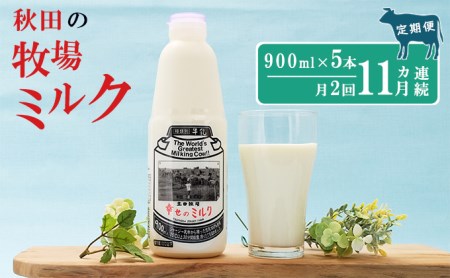 2週間ごとお届け！幸せのミルク 900ml×5本 11ヶ月定期便（牛乳 定期 栄養豊富）