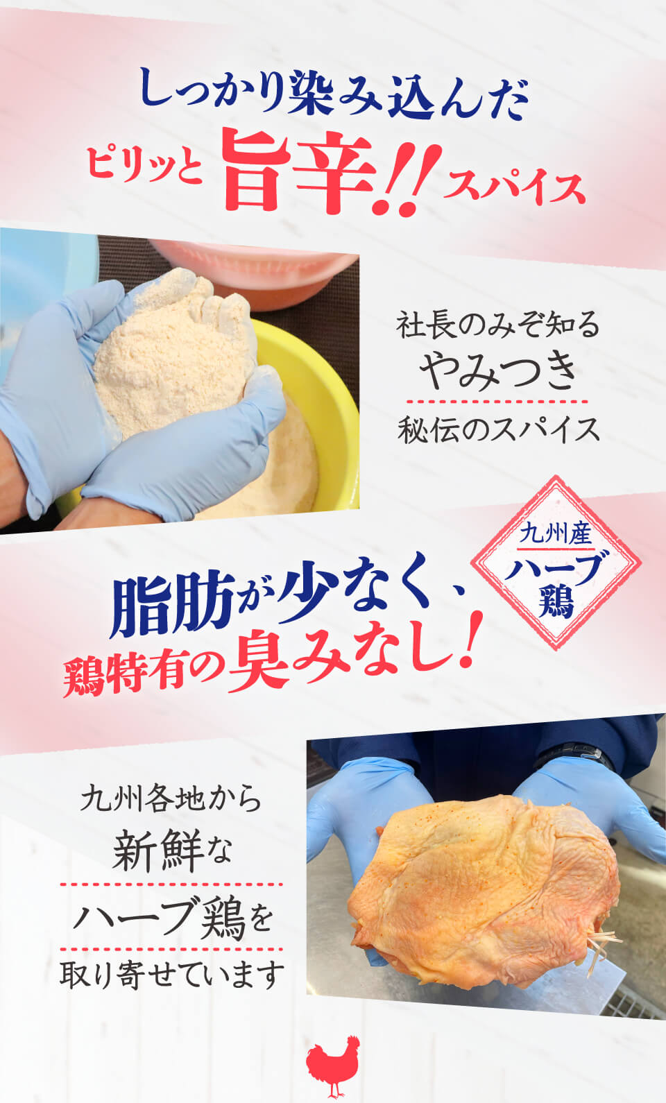 鳥刺し 九州産 国産 鶏むねたたき 柑橘ポン酢付き 1kg (10パック) 鶏肉 鶏たたき 鳥 むね肉 刺身 味付き タタキ 惣菜 晩酌 冷凍 お中元 2023