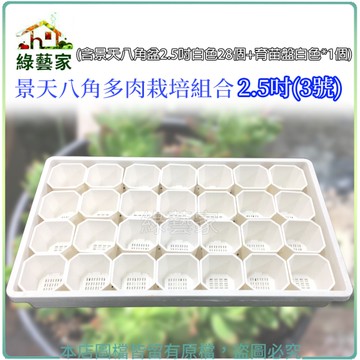 【綠藝家】景天八角多肉栽培組合2.5吋(3號) (含景天八角盆2.5吋白色28個+育苗盤白色*1個)