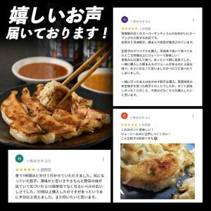 ふるさと納税 餃子の惑星のピリ辛れんこん餃子(合計72個) 大阪府箕面市