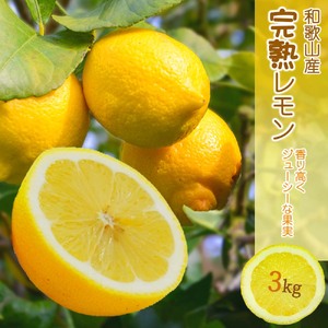 EA6011n_和歌山県産 完熟 レモン 3kg 皮までご使用いただける低農薬栽培!