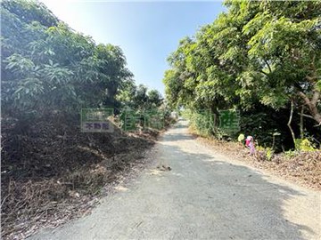 內門玉荷包有水電農地｜高雄市內門區永吉段