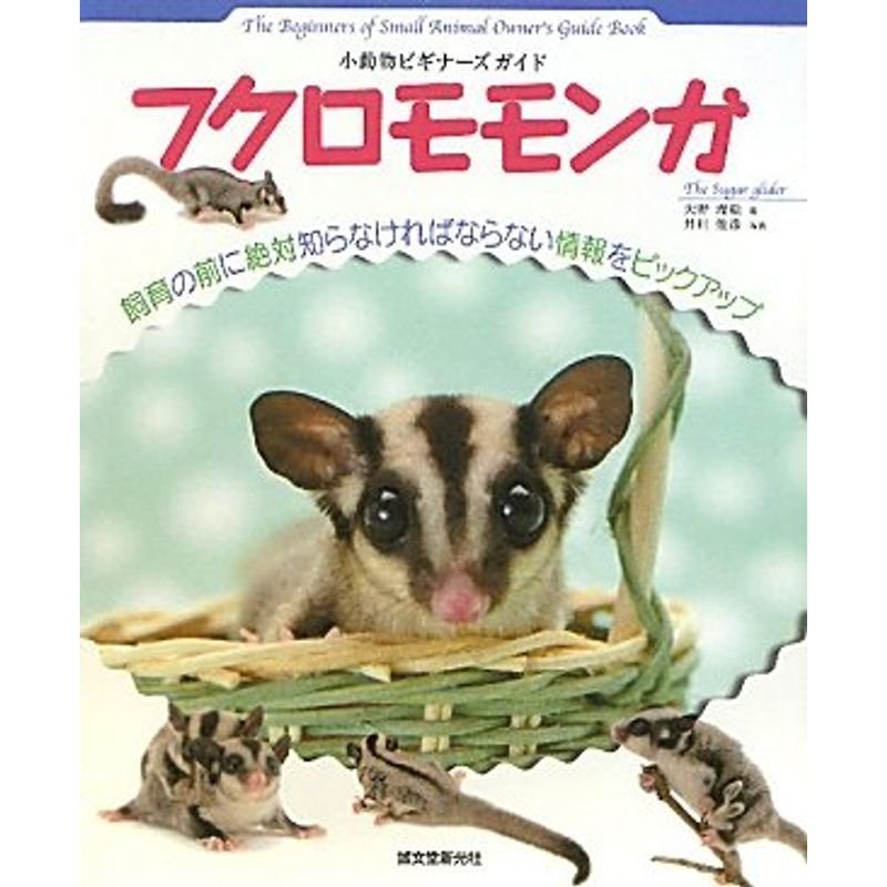 フクロモモンガ?小動物ビギナーズガイド (SMALL ANIMAL POCKET BOOK SERIES)