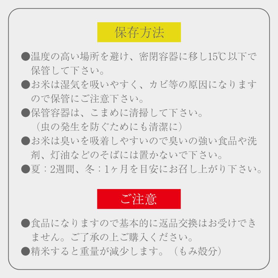 新米 みずかがみ 10kg 令和5年 送料無料 お米 白米 玄米 1等級米 10キロ 米 近江米 米10kg 農家直送 滋賀県 産地直送 即日発送