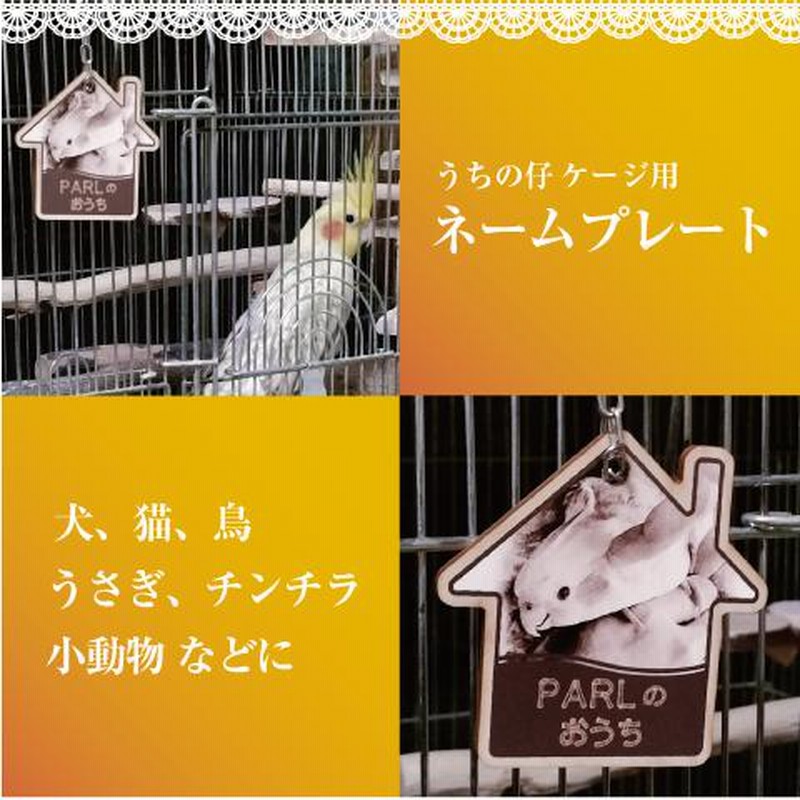 アイヴィー！鳥ケージ保温カバー 鳥かご 防寒カバー ジッパー付き Lサイズ カゴ 保温 籠 鳥用
