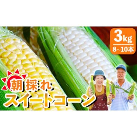 ふるさと納税 朝採れスイートコーン 3kg (8〜10本) 野菜 とうもろこし とうきび トウキビ BBQ キャンプ 旬 おやつ 特産品 sg-0005 高知県香南市