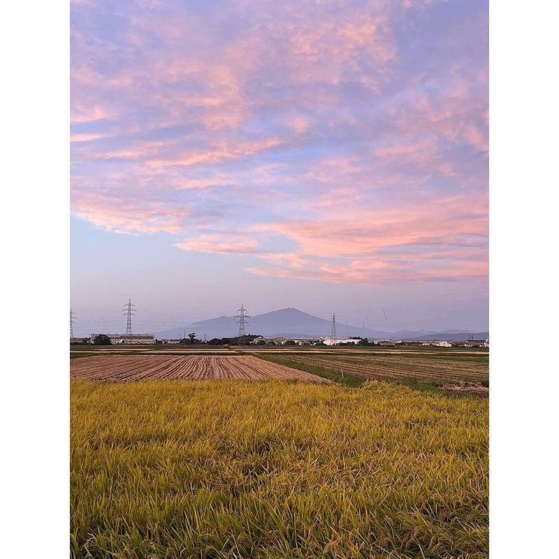 山形県庄内産 雪若丸 パックご飯 180ｇ×36食