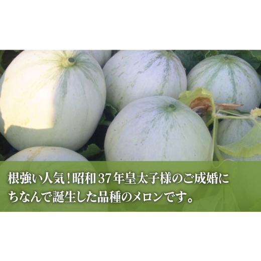 ふるさと納税 長崎県 南島原市 フルーツ定期便 旬のフルーツをセット ／ プリンスメロン タカミメロン 温州みかん（3品種各1回）…