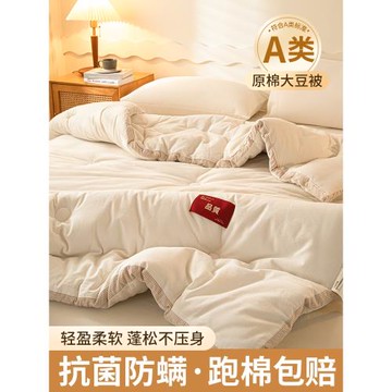 大豆纖維被子棉被芯加厚保暖冬被被褥宿舍單人學生春秋被四季通用