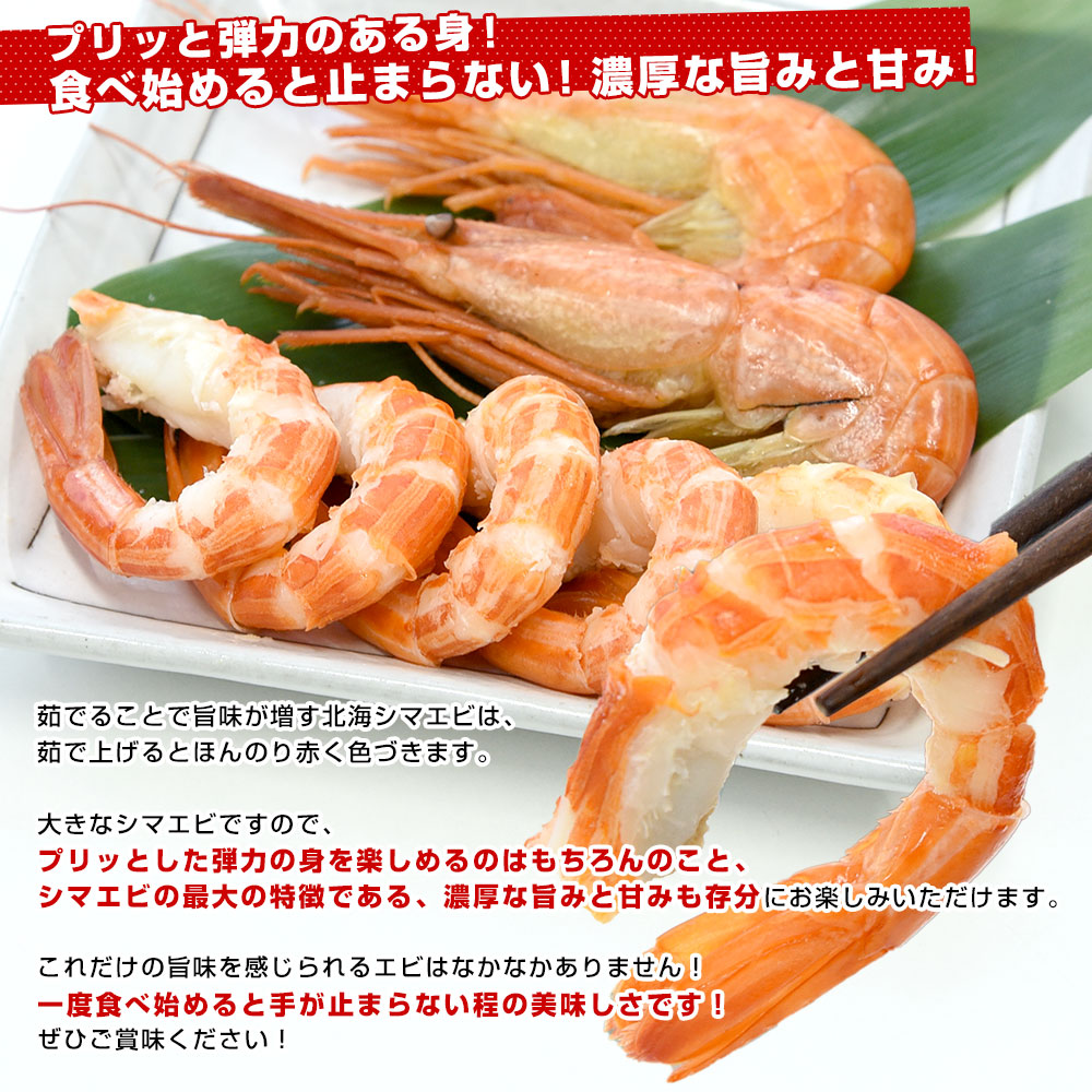 北海道より直送 特大 北海シマエビ Ｌサイズ 500ｇ(20尾前後) 送料無料 しまえび 縞えび エビ