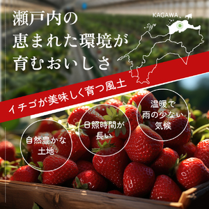 香川県オリジナル品種！  いちご 400g化粧箱×2箱