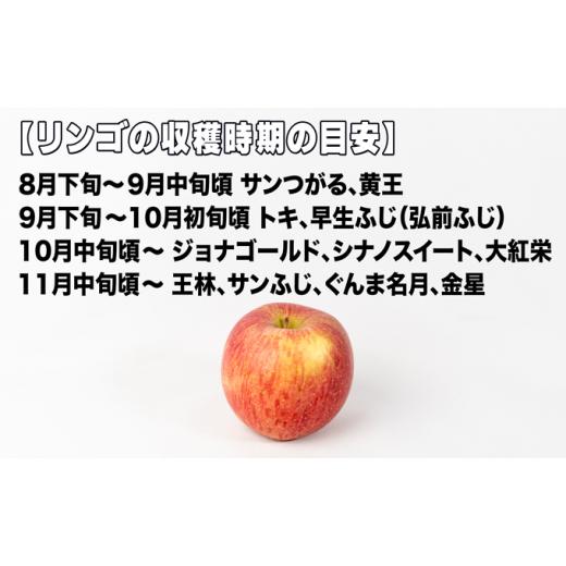 ふるさと納税 青森県 弘前市 1〜3月発送旬のリンゴ詰め合わせ 約5kg糖度13度以上