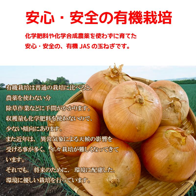 有機玉ねぎ 5kg 有機ＪＡＳ 送料無料