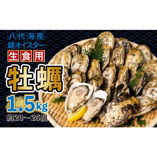 ふるさと納税 熊本県 八代市  牡蠣 鏡オイスター 生食用 1.5kg (約20-25個) オイスター 惣菜 