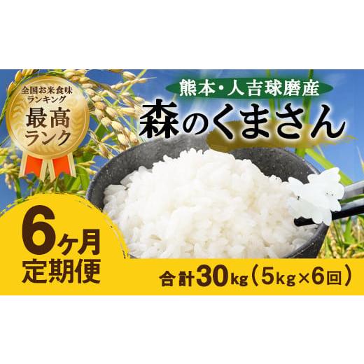 ふるさと納税 熊本県 人吉市 熊本・人吉球磨産 森のくまさん 5kg × 6ヶ月 米