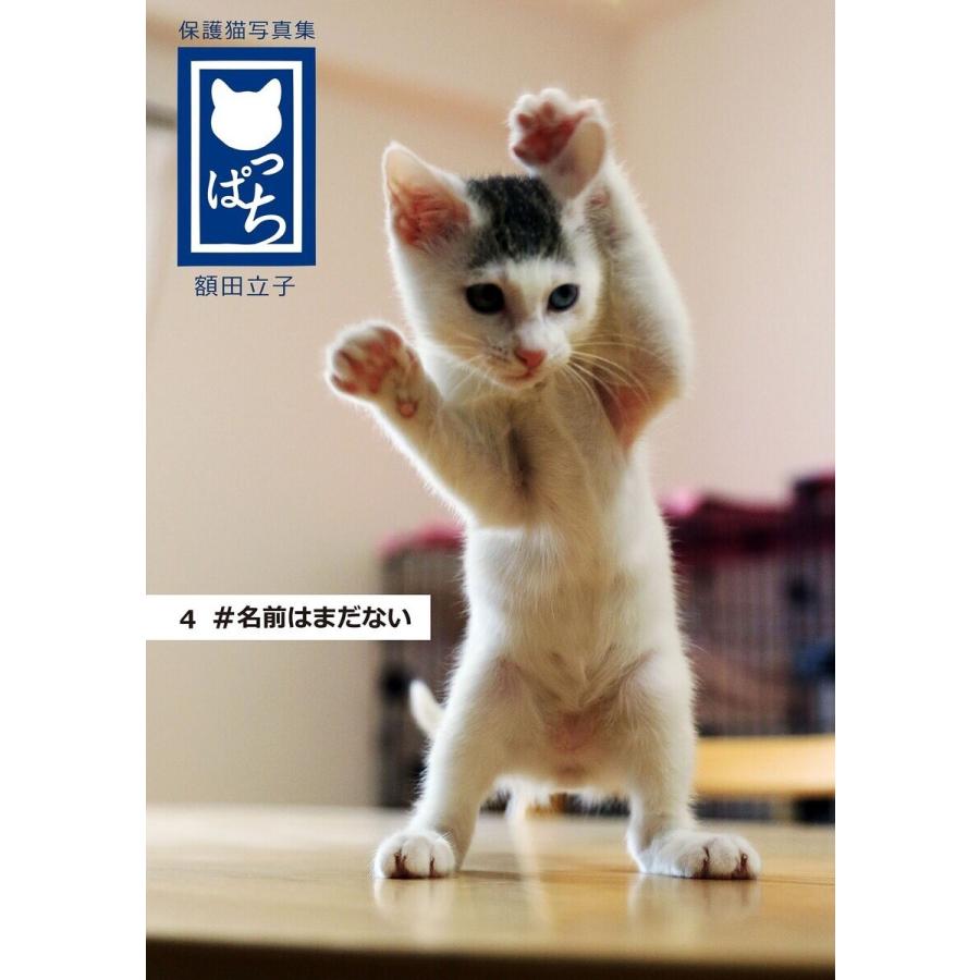 保護猫写真集 ねこっぱち! (4) #名前はまだない 電子書籍版   額田立子 猫坂8丁目