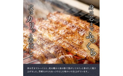 名店の味 宮崎県産うなぎ蒲焼「お楽しみセット」(蒲焼き1尾 骨の唐揚げ 肝焼 蒲焼きのタレ 粉山椒) 国産 鰻 蒲焼き [G8407]