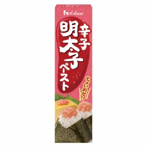 ハウス食品　辛子明太子ペースト（40ｇ）×10個