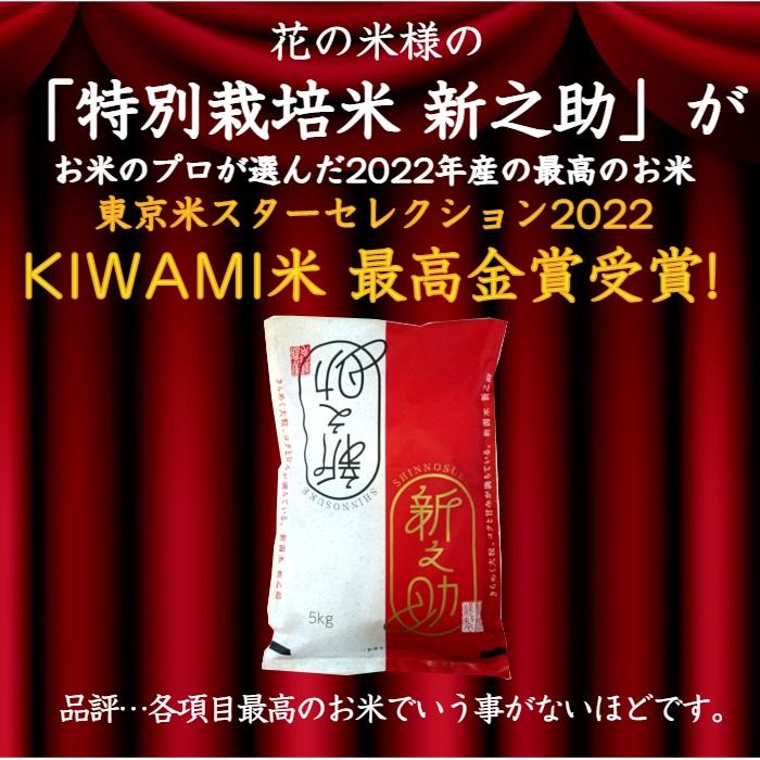 令和５年産　新潟県上越産　特別栽培米　新之助　精米５kg入