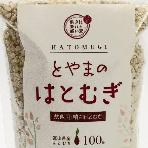 JAいなば 富山県産 ハトムギ精白粒 とやまのはとむぎ（炊飯用）砕粒500g×3袋