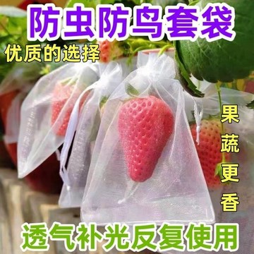 ⚡臺灣出貨⚡草莓套袋水果網套袋防蟲鳥專用保護袋草莓網罩無花果葡萄番茄專用
