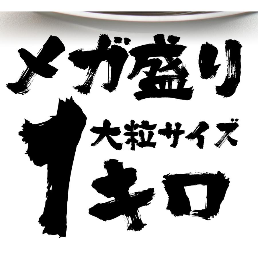 訳あり 生ほたて貝柱 1kg 大玉 ほたて ホタテ 帆立 生食 刺身 在宅応援 お歳暮 ギフト 海鮮グルメ 母の日 父の日 敬老