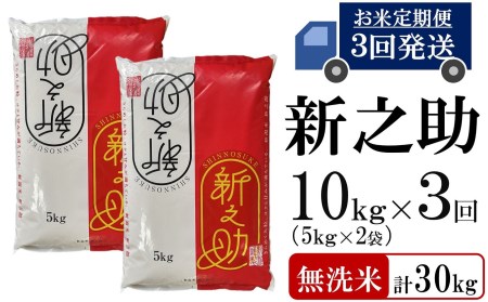 令和5年産新米新之助 無洗米 10kg（5kg×2袋）×3回（計 30kg） [D564]