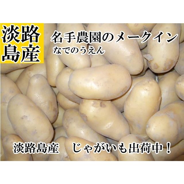 淡路島産じゃがいも メークイン５kg 2023年産 ＊地域限定送料無料でお届けいたします！