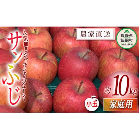 ふるさと納税 りんご サンふじ 家庭用 小玉 10kg 原山農園 沖縄県への配送不可 2024年1月上旬頃から2024年3月上旬頃まで順次発送予定 令和5.. 長野県飯綱町