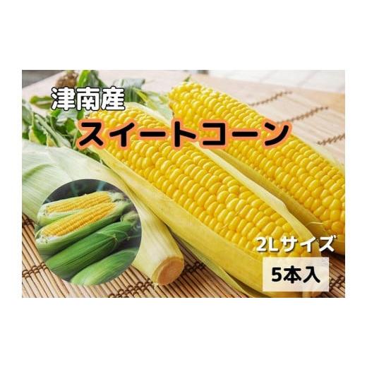 ふるさと納税 新潟県 津南町 朝取りスイートコーン 2Lサイズ 5本（1本約400g）