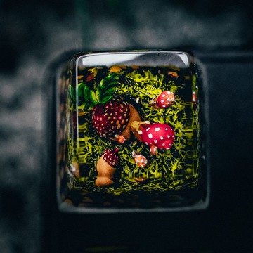 成長家庭, 鍵帽, 苔蘚鍵帽, 樹脂鍵帽, 遊戲玩家圍巾, 可愛鍵帽