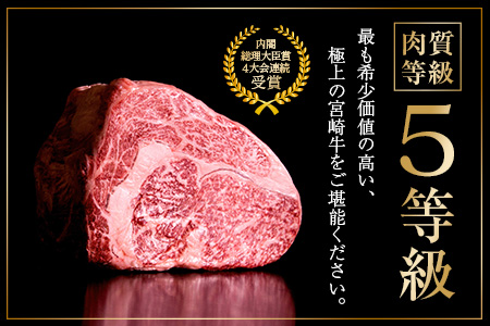 ≪数量限定≫最高ランク5等級宮崎牛ロースステーキ(計500g)　肉　牛　牛肉　国産 D22-191