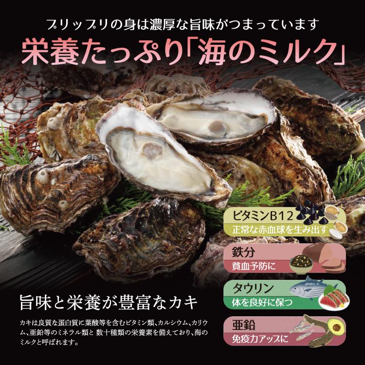 お歳暮 ガンガン焼き 海鮮 BBQセット バーベキューセット 牡蠣缶 3kg 30〜40個 かき カキ