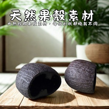 【已清除果肉】 扇椰子 果殼 扇椰子果殼 DIY 手作材料 椰殼 水椰 天然果殼 石栗 夾竹桃 黑果 橡膠果 手作材料