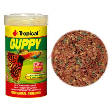 P老闆水族~TROPICAL孔雀增艷薄片 孔雀魚飼料 小型魚飼料 魚飼料 100ml