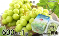 ぶどう ［2023年先行予約］ シャインマスカット 晴王 約600g×1房 岡山県産 2023年7月中旬～2023年8月中旬発送分