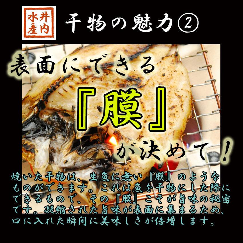 のどぐろ アカムツ 干物 一夜干し 島根県 約200g×1尾 大型 約22cm 島根県産 ノドグロ 干物　鮮熟製法