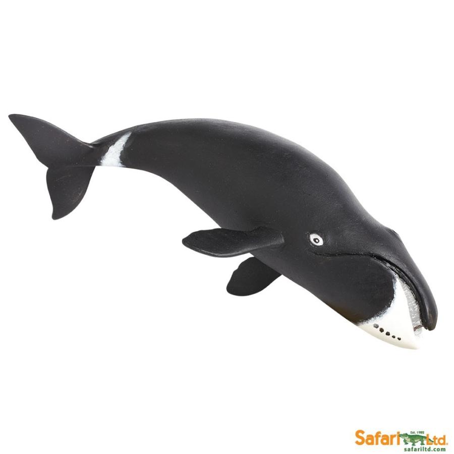 サファリ ホッキョククジラ 鯨 フィギュア 205529 | LINEショッピング