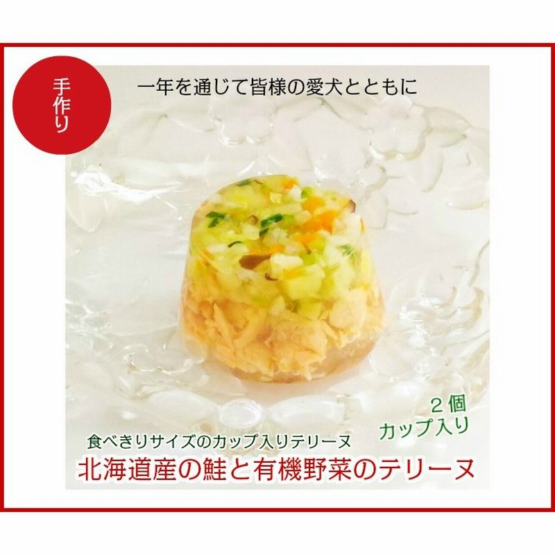 犬 手作り食 ごはん 無添加 ドッグフード ギフト 誕生日 ケーキ おやつ 老犬 トッピング 北海道の鮭と有機野菜のカップ入りテリーヌ 通販 Lineポイント最大0 5 Get Lineショッピング