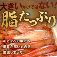 665.大秀商店の「のどぐろ（大）」（5尾入） 魚 干物 干もの 乾物 一夜干し のどぐろ セット