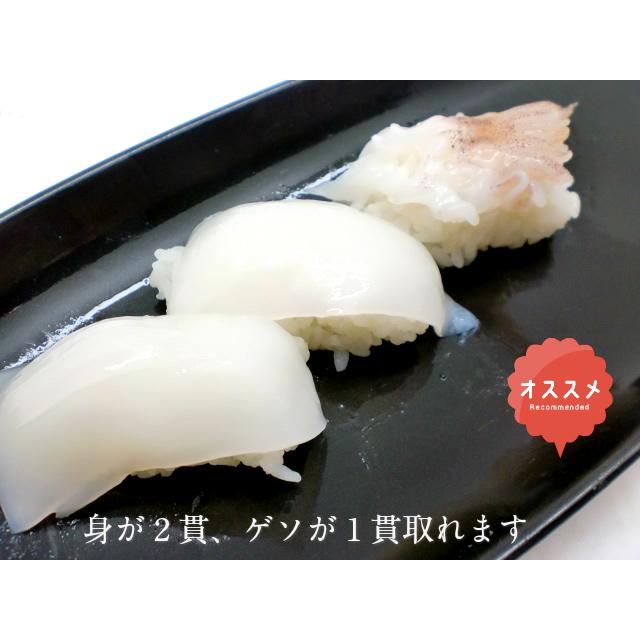 寿司 寿司ネタ ヤリイカ姿 20ｇ×20枚 やりいか 下足付き げそ付き 生食用 のせるだけ 刺身用 手巻き寿司