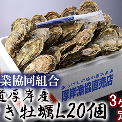 定期便 3ヶ月 北海道 厚岸産 牡蠣 Lサイズ 20個 (各回20個×3ヶ月分,合計60個) 殻付き 生食 カキナイフ付き かき カキ