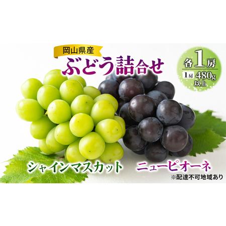 ふるさと納税 ぶどう 2024年 先行予約 ニュー ピオーネ 1房（480g以上） シャイン マスカット 1房（480g以上） 岡山県岡山市