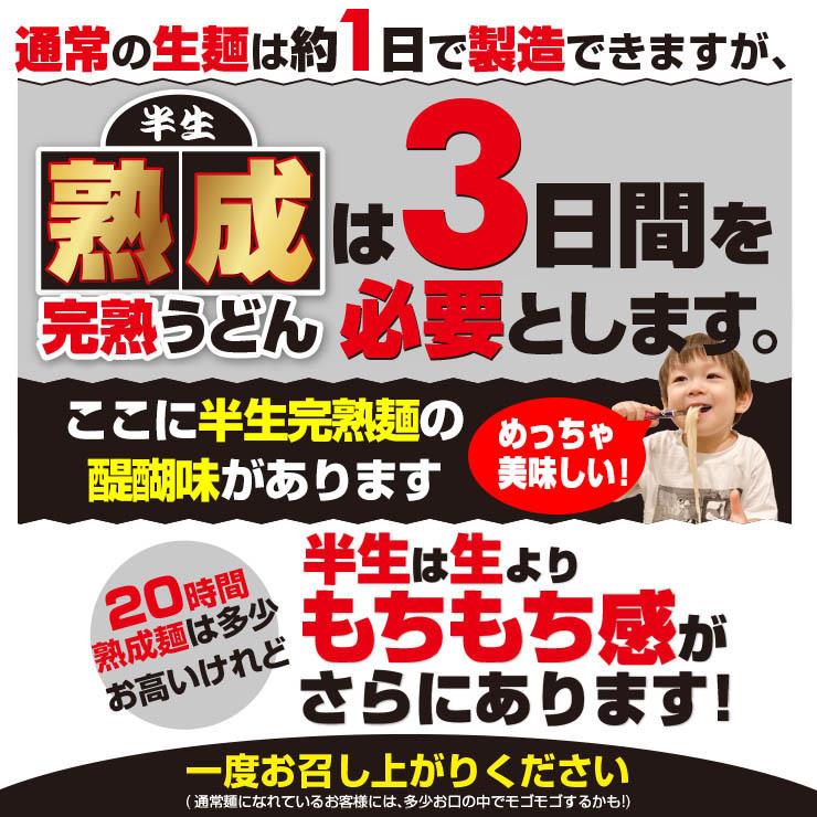 熟成 半生 並切麺 讃岐うどん 激ウマ 6〜8食 便利な個包装 250g×3袋 750g 送料無料 最安値挑戦 お試し