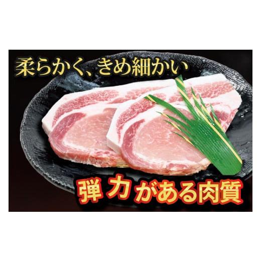 ふるさと納税 茨城県 大洗町 ローズポーク 味噌漬け 約500g (ロース200g、ヒレ300g) 茨城県共通返礼品 ブランド豚 茨城 国産 豚肉 冷凍