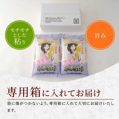 ふるさと納税 大館市 令和5年産秋田県大館産あきたこまち無洗米　10kg(1月〜3月配送)