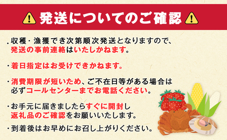 北海道 千歳産 とうもろこし 430ｇ以上 25本 恵味スター 野菜 トウモロコシ 甘い 旬 夏 BBQ ＜ファーム安澤＞